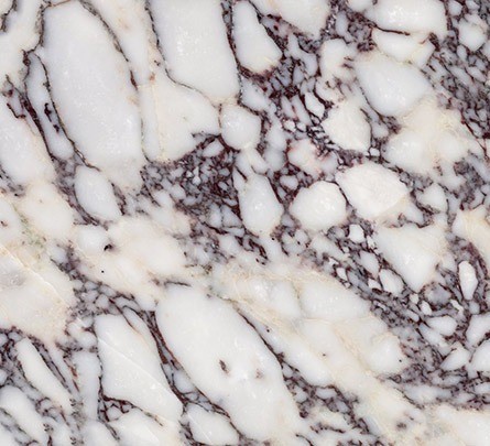 Calacatta Viola marble